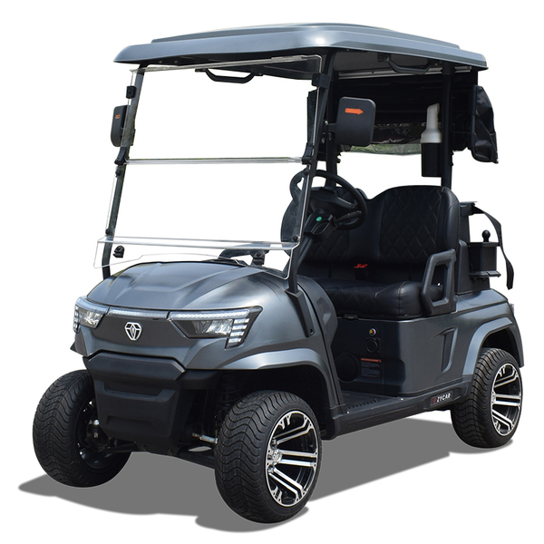 2 seater utility golf cart E2C grey